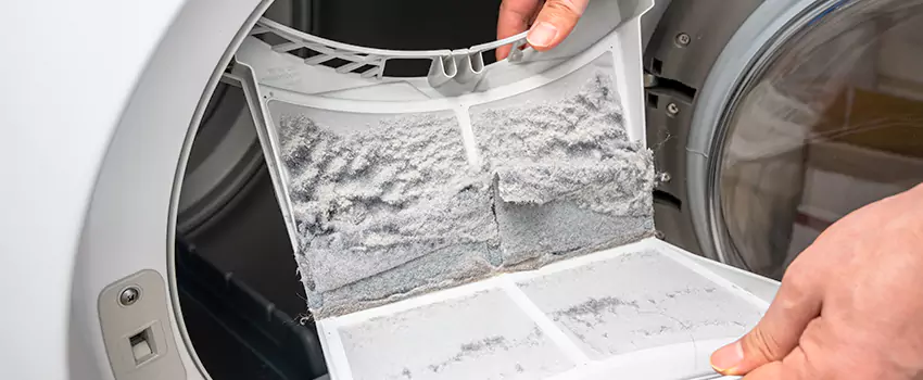 Best Dryer Lint Removal Company in Santa Fe, New Mexico