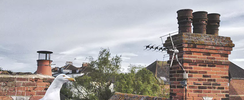 Chimney Cleaning And Restoration in Santa Fe, New Mexico